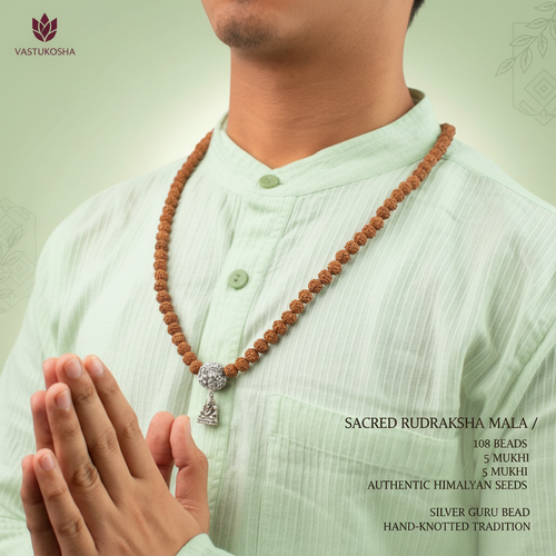5 Mukhi Rudraksha Bead in 5 Mukhi Rudraksha Mala | VastuKosha by Acharya Anuj
