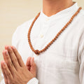 4 Mukhi Rudraksha Bead in 5 Mukhi Rudraksha Mala | VastuKosha by Acharya Anuj