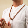11 Mukhi Rudraksha Bead in 5 Mukhi Rudraksha Mala | VastuKosha by Acharya Anuj