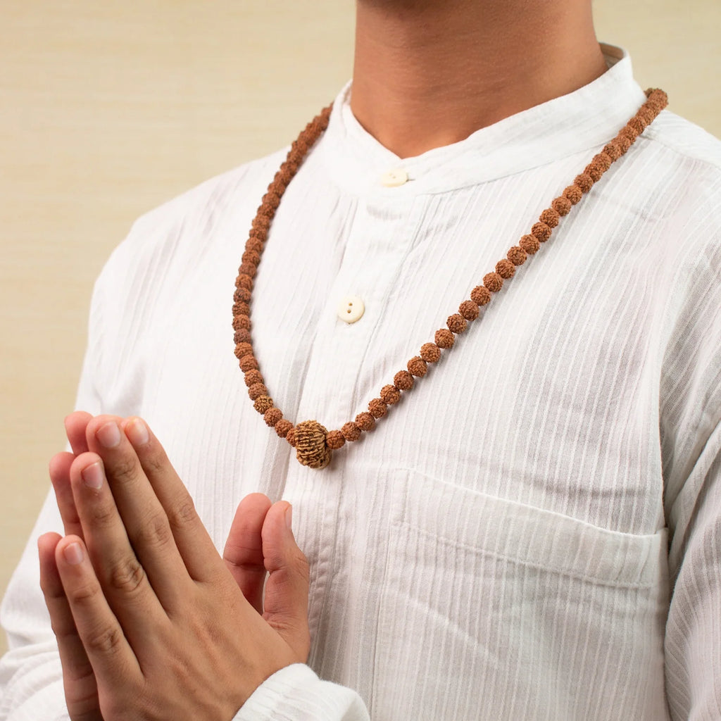 13 Mukhi Rudraksha Bead in 5 Mukhi Rudraksha Mala  | VastuKosha by Acharya Anuj