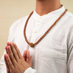 13 Mukhi Rudraksha Bead in 5 Mukhi Rudraksha Mala  | VastuKosha by Acharya Anuj