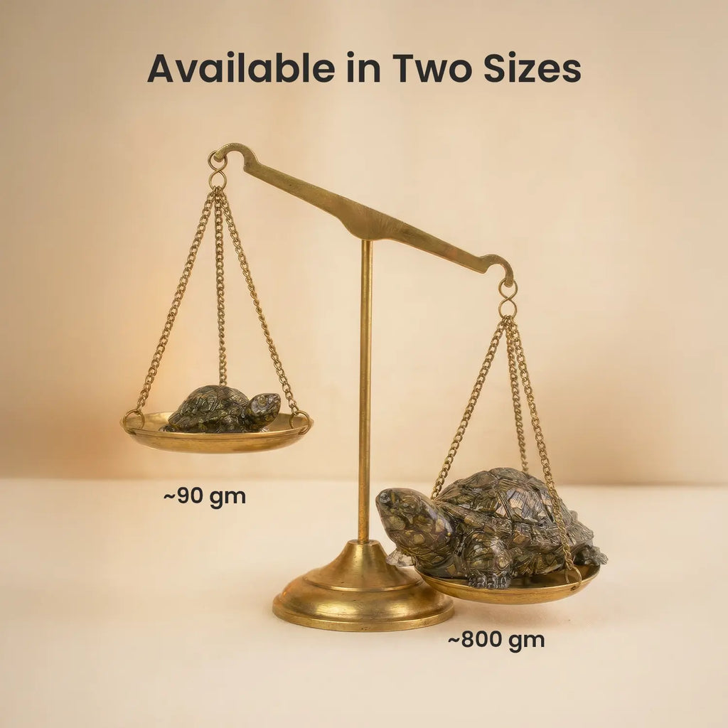 Collector's Edition Pyrite Tortoise (Kachhua) - Big Size - 8x heavier | VastuKosha by Acharya Anuj