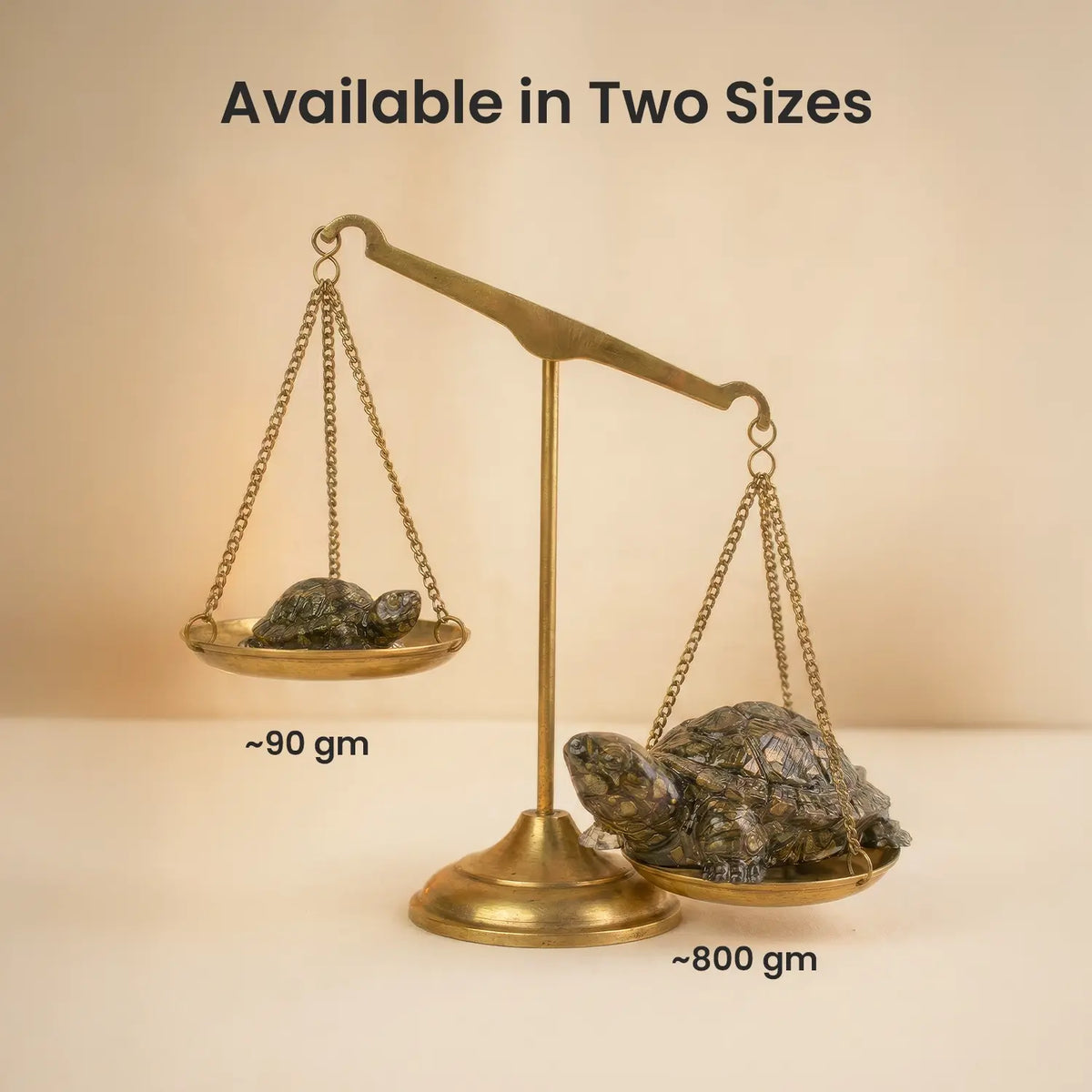 Collector's Edition Pyrite Tortoise (Kachhua) - Big Size - 8x heavier | VastuKosha by Acharya Anuj