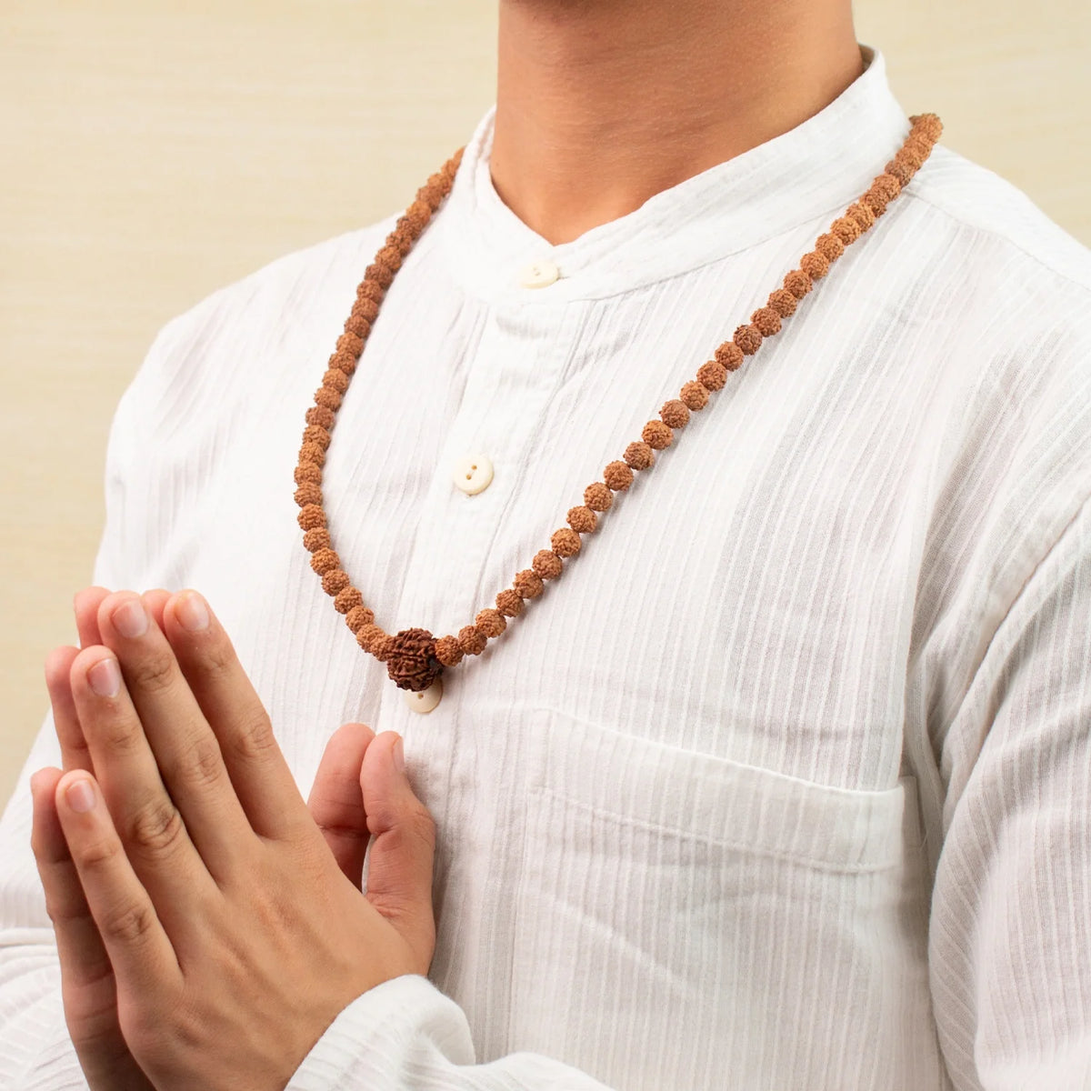 6 Mukhi Rudraksha Bead in 5 Mukhi Rudraksha Mala | VastuKosha by Acharya Anuj