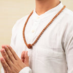 7 Mukhi Rudraksha Bead in 5 Mukhi Rudraksha Mala | VastuKosha by Acharya Anuj