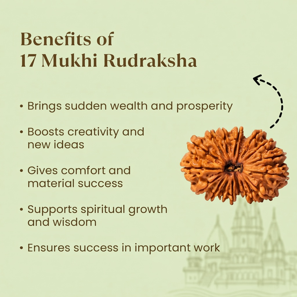 Rameshwaram Siddh Nepal Origin 17 Mukhi Rudraksha 17mm to 22mm | VastuKosha by Acharya Anuj