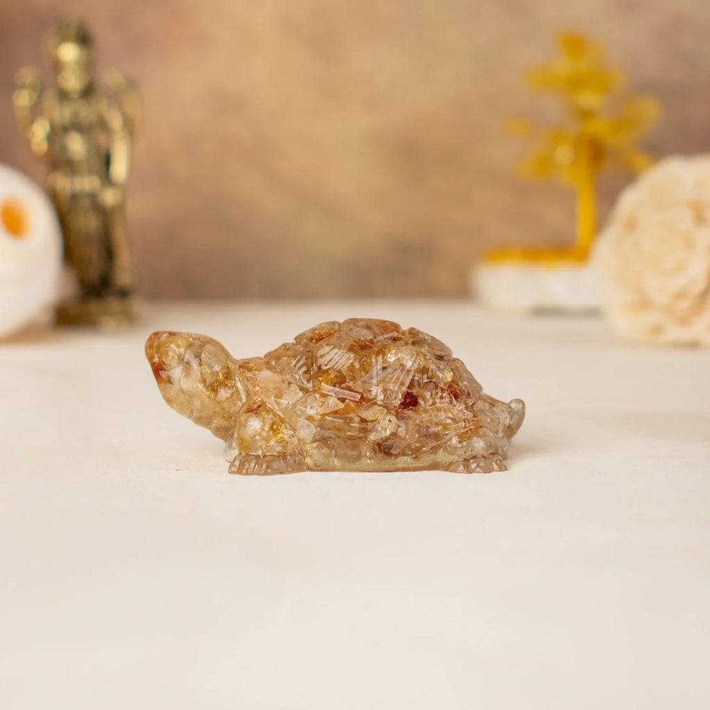 Vastu Citrine Tortoise (Kachhua) | VastuKosha by Acharya Anuj