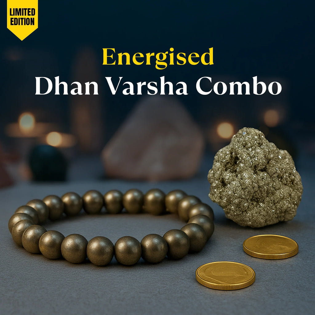 Energised Dhan Varsha Combo - 10x Stronger| Vastukosha by Acharya Anuj