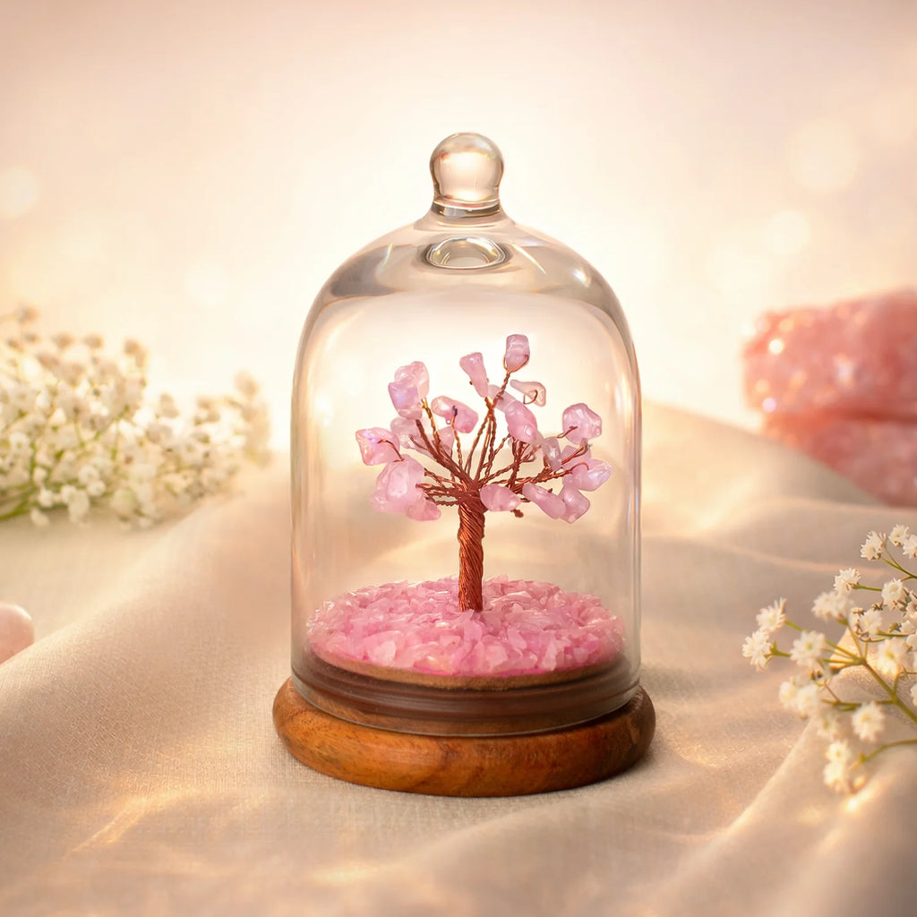 Love Attraction Dome Tree  | VastuKosha by Acharya Anuj