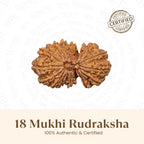 Rameshwaram Siddh Nepal Origin 18 Mukhi Rudraksha - 17mm¬†to¬†22mm | VastuKosha by Acharya Anuj
