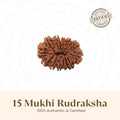 Rameshwaram Siddh Nepal Origin 15 Mukhi Rudraksha - 17mm¬†to¬†22mm | VastuKosha by Acharya Anuj