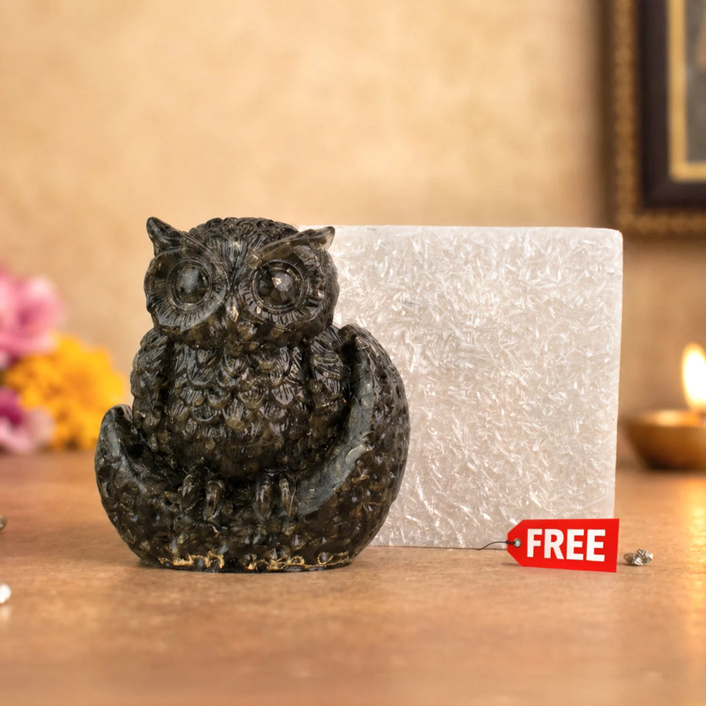 Pyrite Owl with Free Square Selenite Plate | VastuKosha by Acharya Anuj