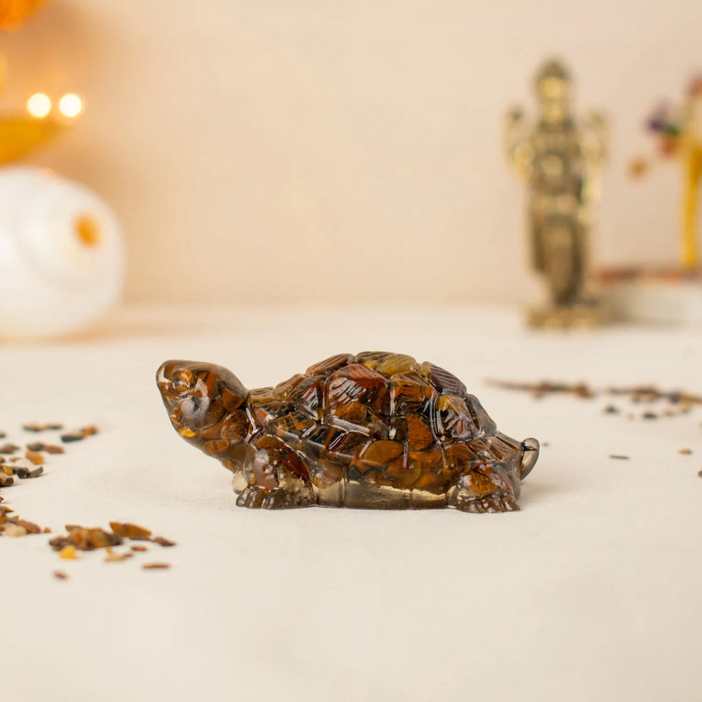 Vastu Tiger Eye Tortoise (Kachhua) | VastuKosha by Acharya Anuj