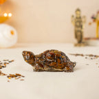 Vastu Tiger Eye Tortoise (Kachhua) | VastuKosha by Acharya Anuj
