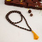 Divya Raksha Rudraksha & Karungali Mala 8mm - 108+1 Beads | VastuKosha by Acharya Anuj