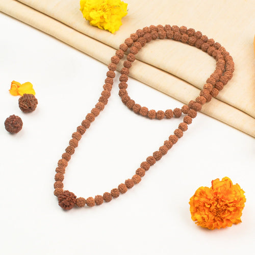 3 Mukhi Rudraksha Bead in 5 Mukhi Rudraksha Mala | VastuKosha by Acharya Anuj