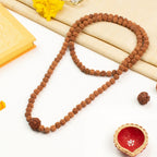 4 Mukhi Rudraksha Bead in 5 Mukhi Rudraksha Mala | VastuKosha by Acharya Anuj