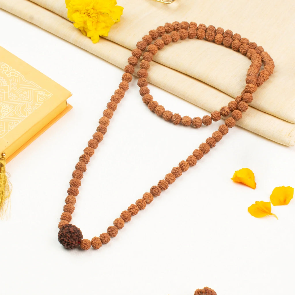 5 Mukhi Rudraksha Bead in 5 Mukhi Rudraksha Mala | VastuKosha by Acharya Anuj