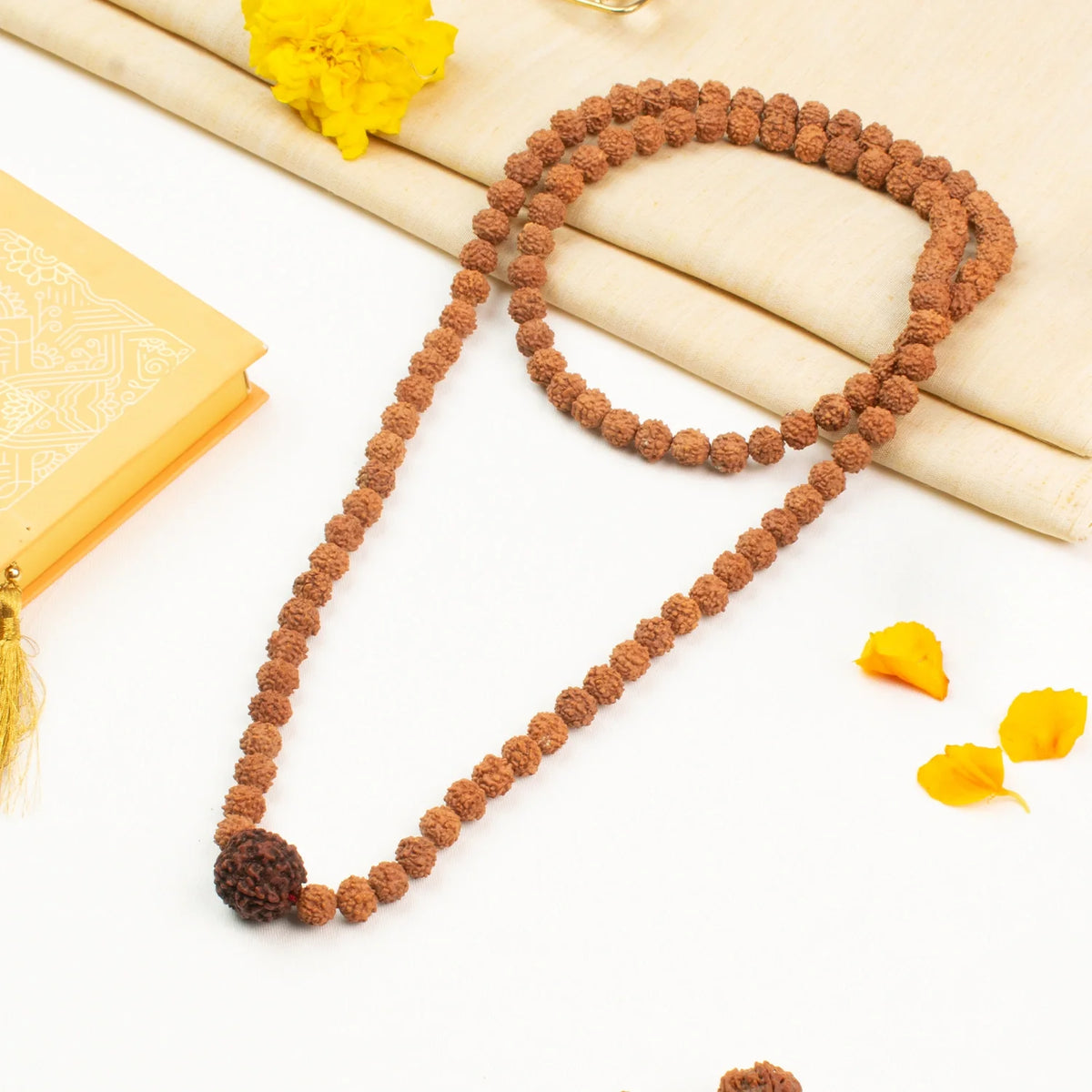 5 Mukhi Rudraksha Bead in 5 Mukhi Rudraksha Mala | VastuKosha by Acharya Anuj