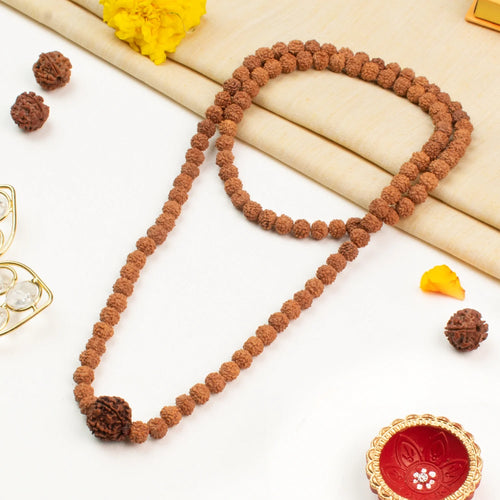6 Mukhi Rudraksha Bead in 5 Mukhi Rudraksha Mala | VastuKosha by Acharya Anuj