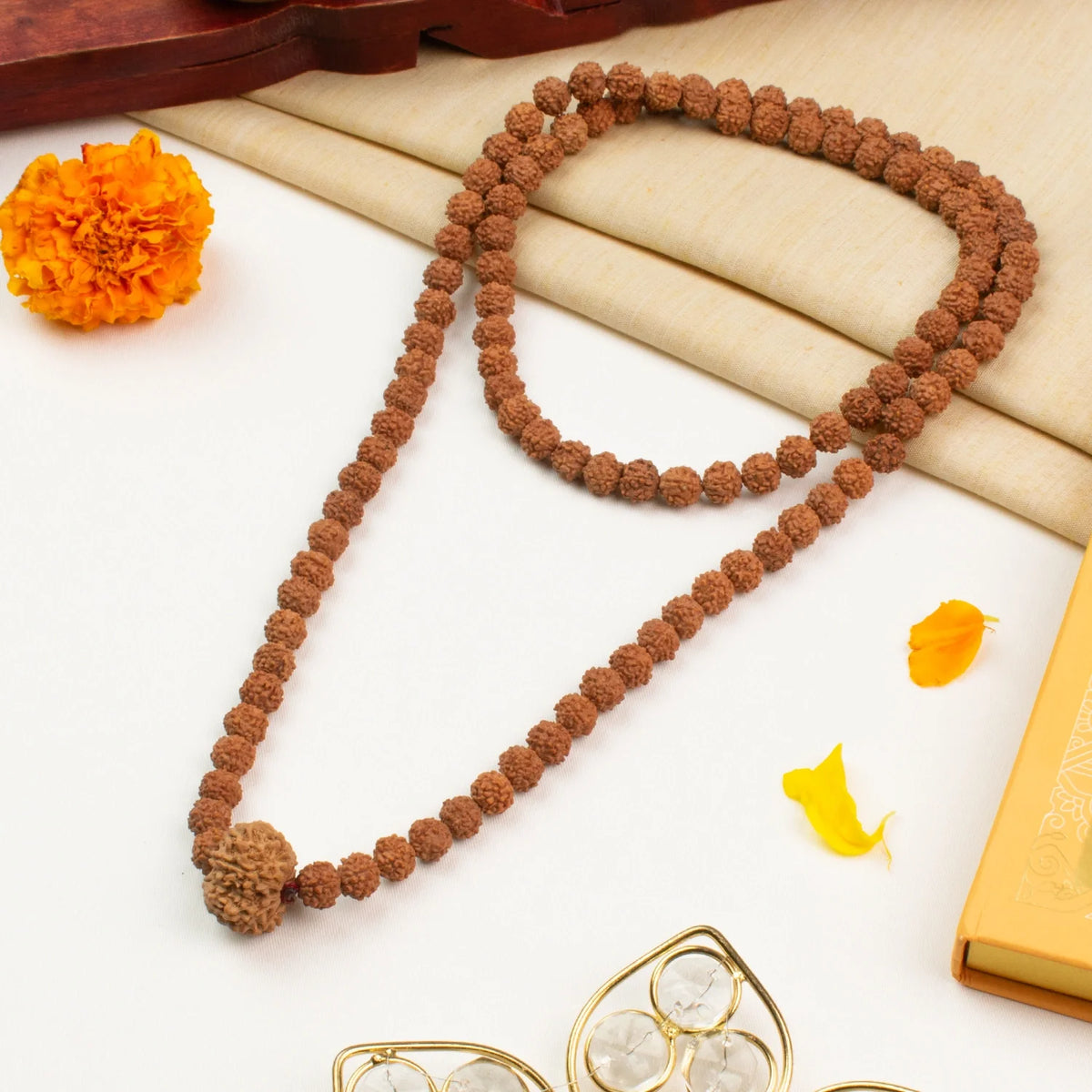 8 Mukhi Rudraksha Bead in 5 Mukhi Rudraksha Mala | VastuKosha by Acharya Anuj