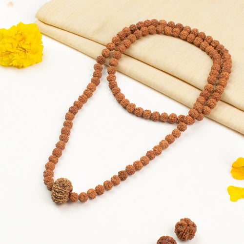 10 Mukhi Rudraksha Bead in 5 Mukhi Rudraksha Mala | VastuKosha by Acharya Anuj