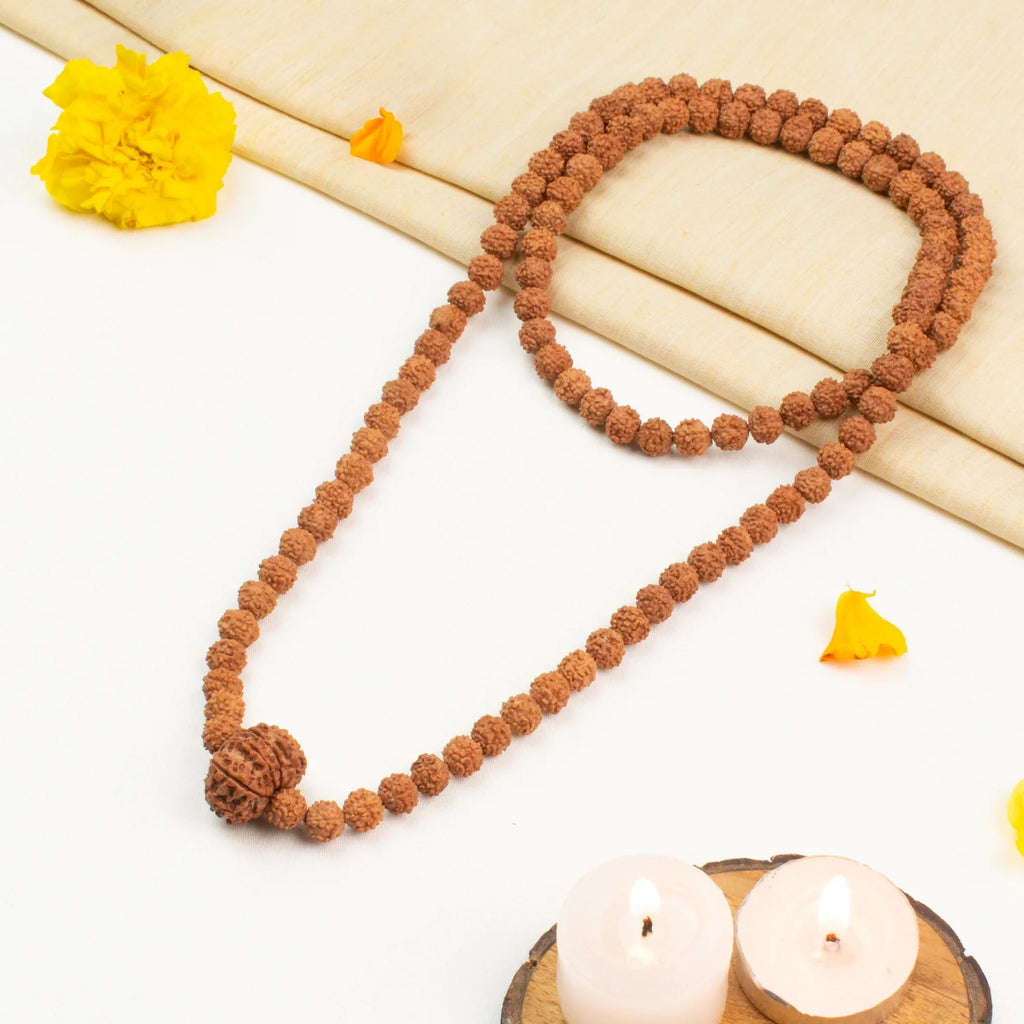 11 Mukhi Rudraksha Bead in 5 Mukhi Rudraksha Mala | VastuKosha by Acharya Anuj