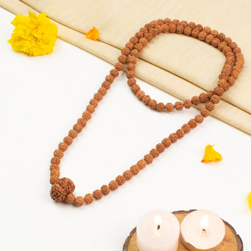 11 Mukhi Rudraksha Bead in 5 Mukhi Rudraksha Mala | VastuKosha by Acharya Anuj