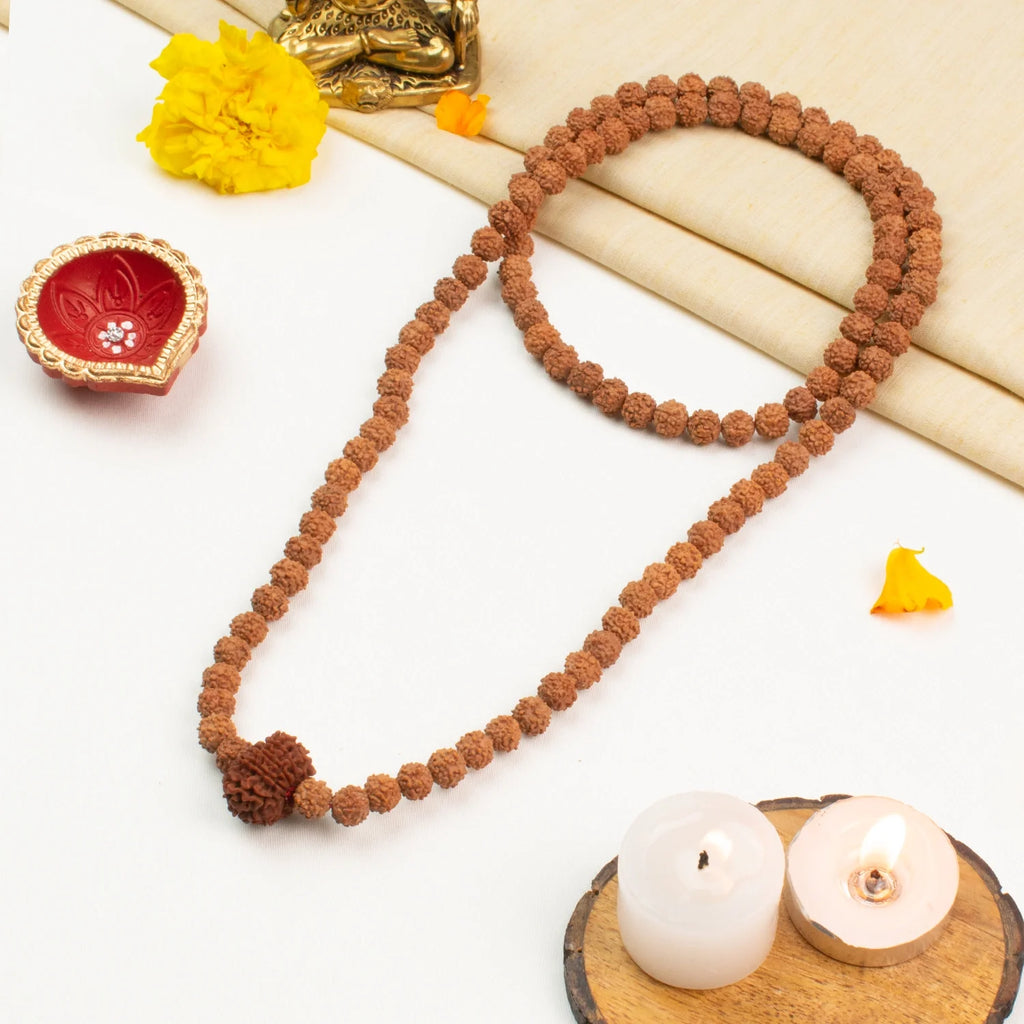 12 Mukhi Rudraksha Bead in 5 Mukhi Rudraksha Mala  | VastuKosha by Acharya Anuj