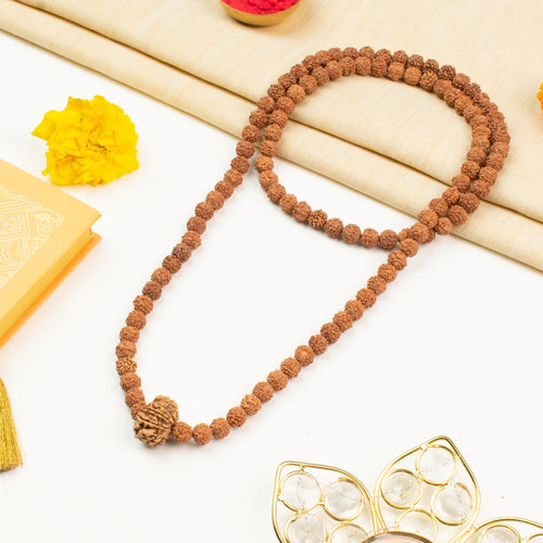 13 Mukhi Rudraksha Bead in 5 Mukhi Rudraksha Mala  | VastuKosha by Acharya Anuj