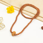 14 Mukhi Rudraksha Bead in 5 Mukhi Rudraksha Mala | VastuKosha by Acharya Anuj