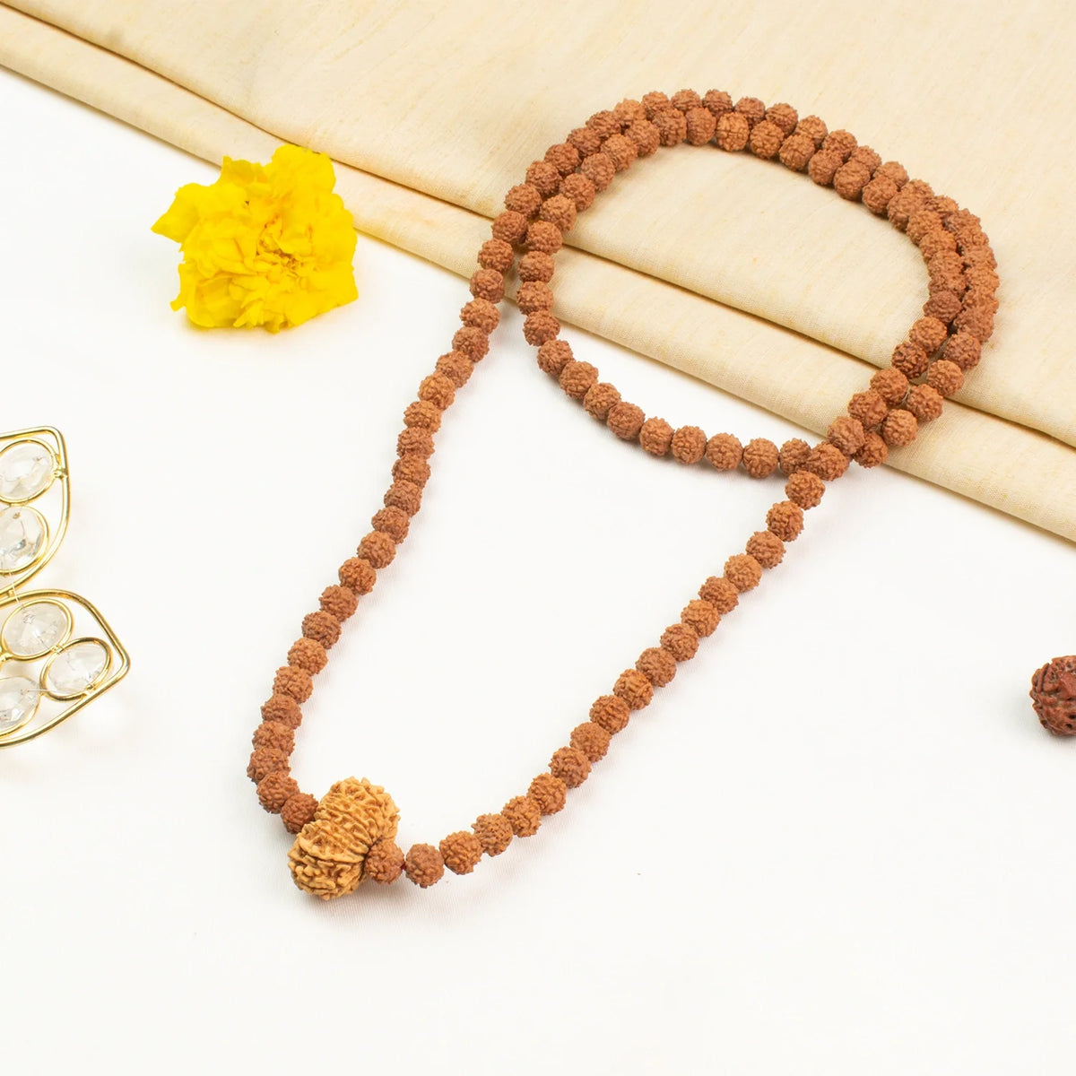 14 Mukhi Rudraksha Bead in 5 Mukhi Rudraksha Mala | VastuKosha by Acharya Anuj