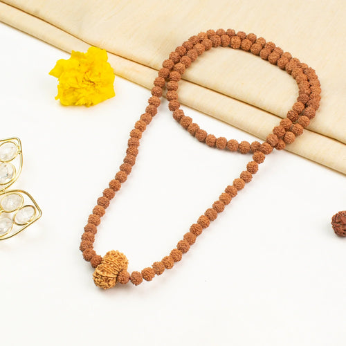 14 Mukhi Rudraksha Bead in 5 Mukhi Rudraksha Mala | VastuKosha by Acharya Anuj