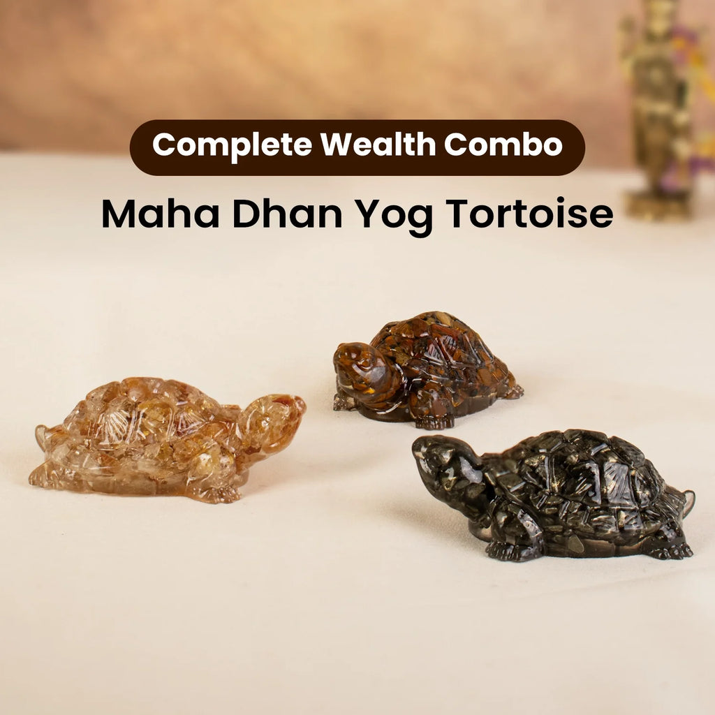 Maha Dhan Yog Tortoise Combo | VastuKosha by Acharya Anuj
