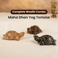 Maha Dhan Yog Tortoise Combo | VastuKosha by Acharya Anuj