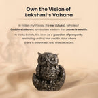 Pyrite Owl with Free Square Selenite Plate | VastuKosha by Acharya Anuj