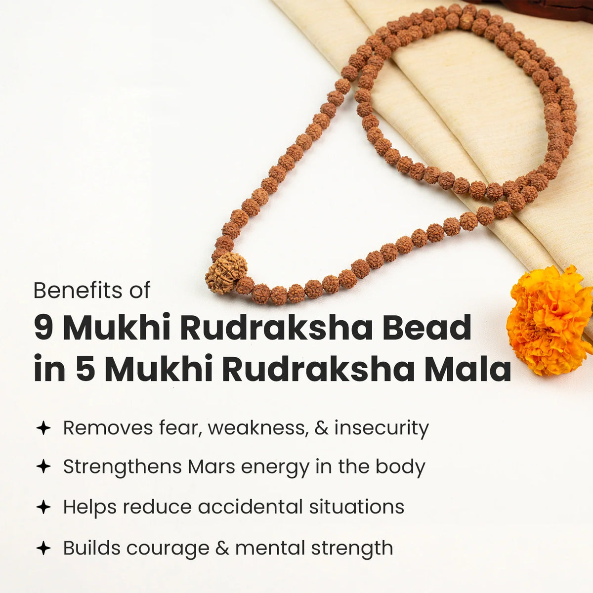 9 Mukhi  Rudraksha Bead in 5 Mukhi Rudraksha Mala | VastuKosha by Acharya Anuj