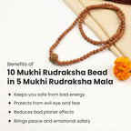 10 Mukhi Rudraksha Bead in 5 Mukhi Rudraksha Mala | VastuKosha by Acharya Anuj