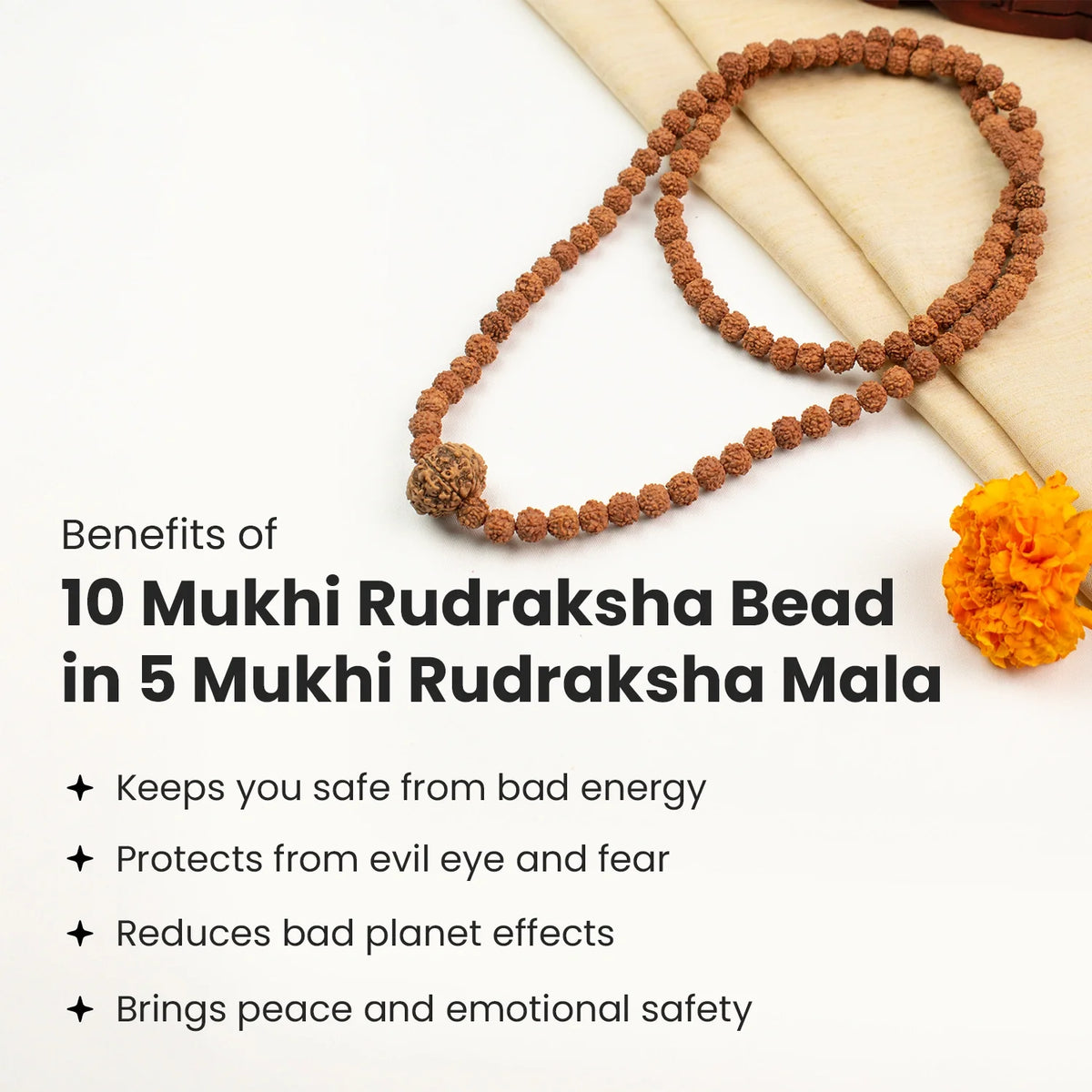 10 Mukhi Rudraksha Bead in 5 Mukhi Rudraksha Mala | VastuKosha by Acharya Anuj