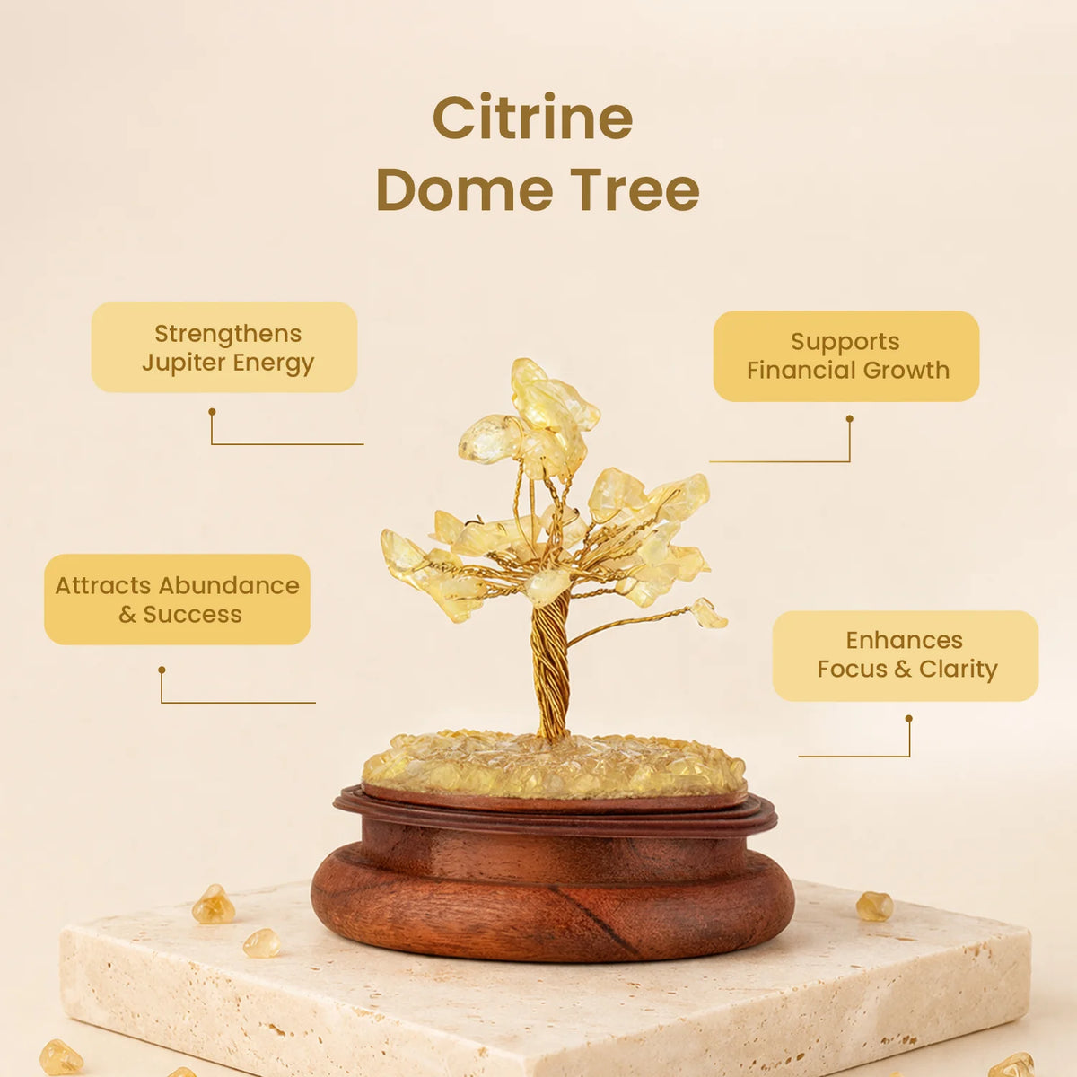Citrine Dome Tree  | VastuKosha by Acharya Anuj