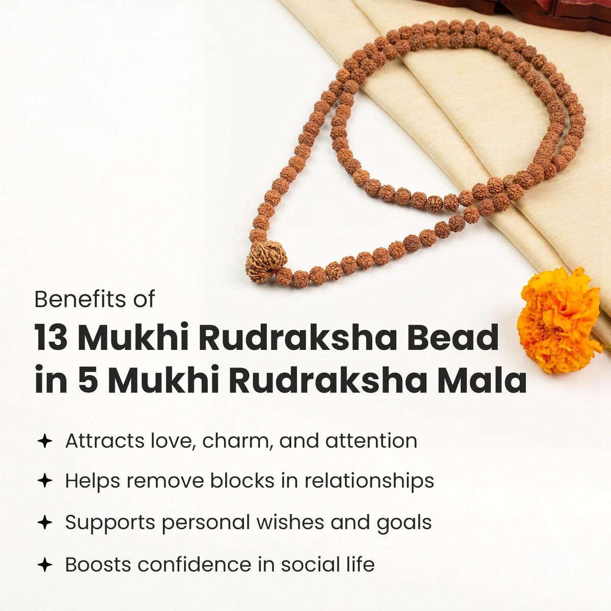 13 Mukhi Rudraksha Bead in 5 Mukhi Rudraksha Mala  | VastuKosha by Acharya Anuj