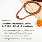 4 Mukhi Rudraksha Bead in 5 Mukhi Rudraksha Mala | VastuKosha by Acharya Anuj