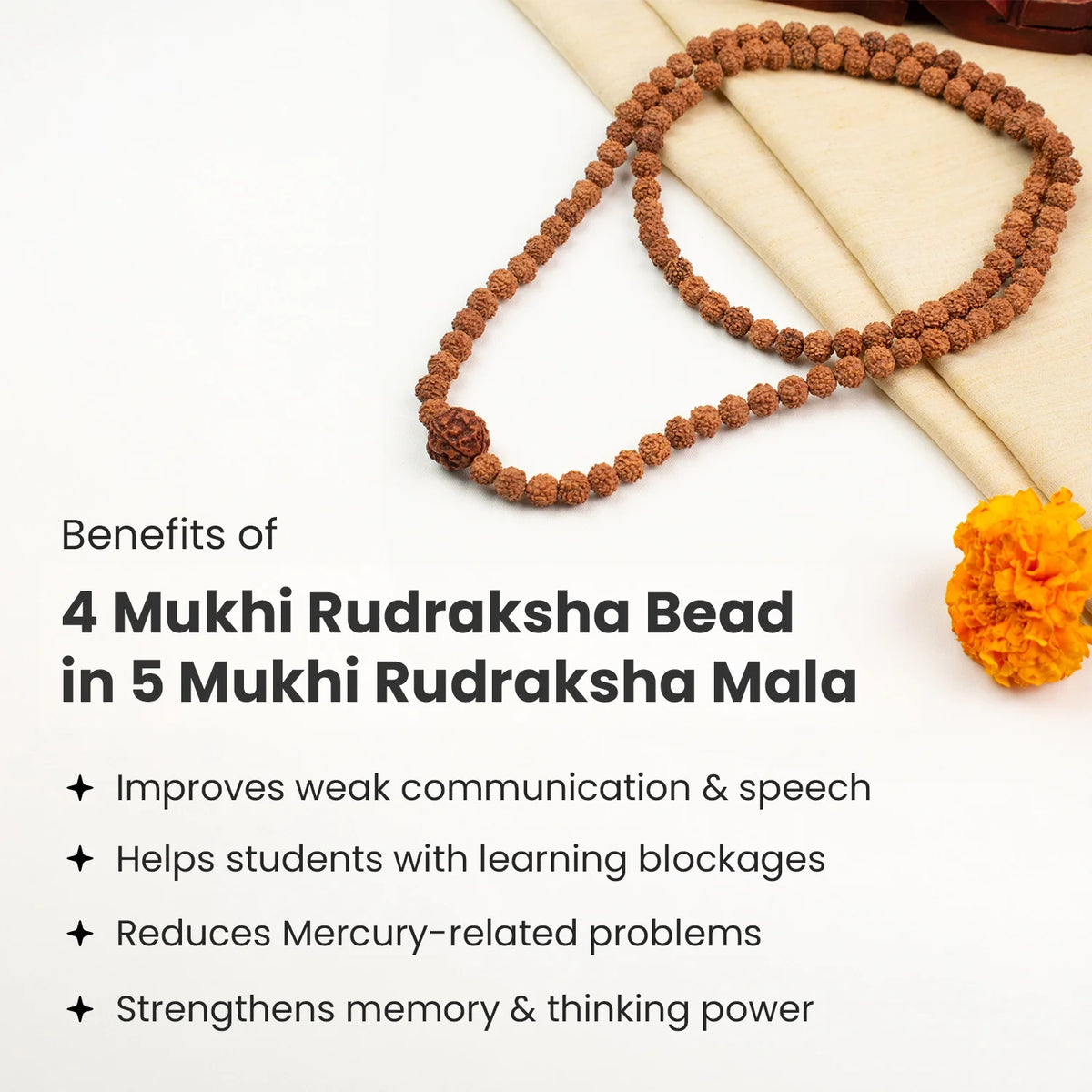 4 Mukhi Rudraksha Bead in 5 Mukhi Rudraksha Mala | VastuKosha by Acharya Anuj