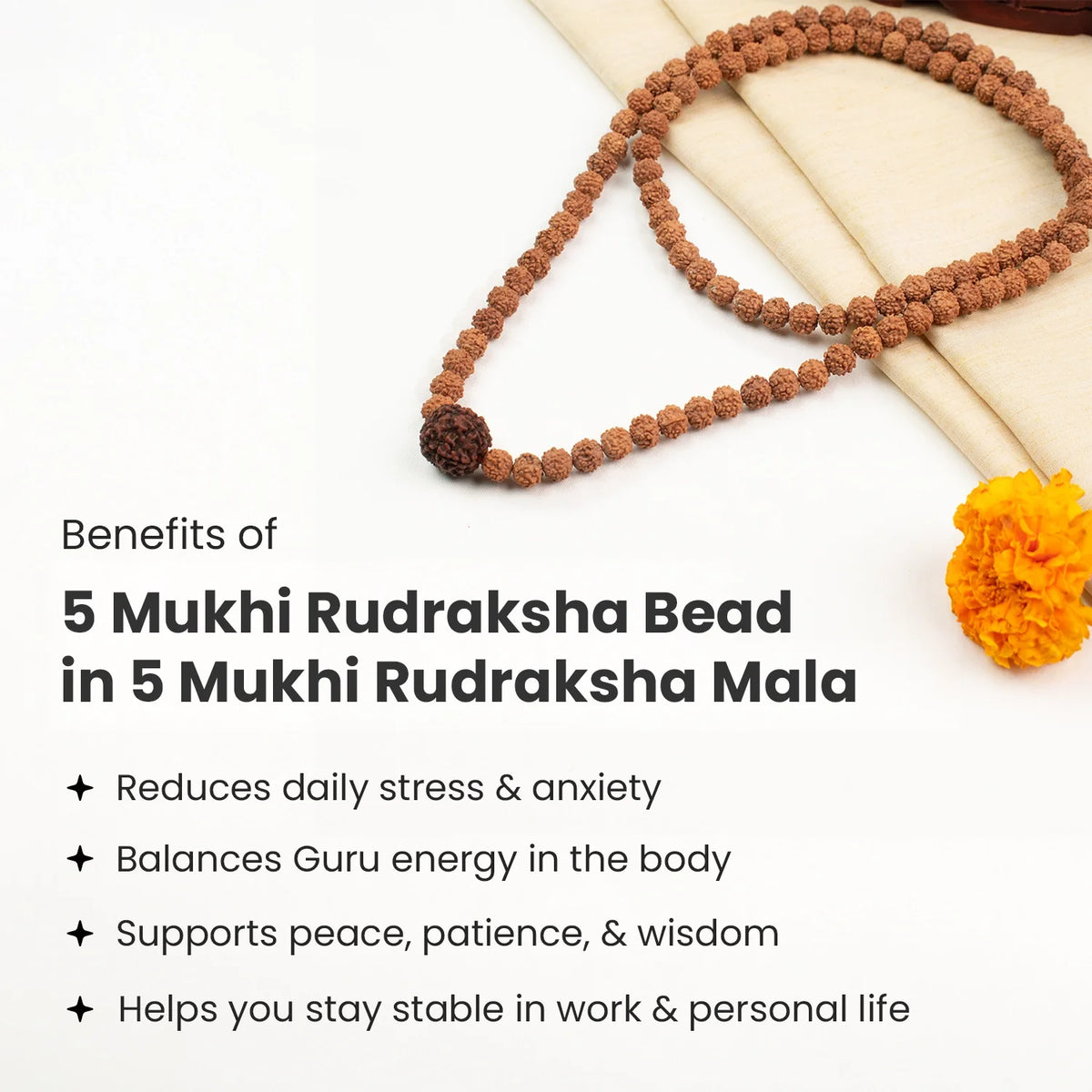 5 Mukhi Rudraksha Bead in 5 Mukhi Rudraksha Mala | VastuKosha by Acharya Anuj