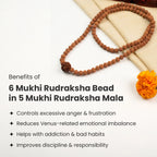 6 Mukhi Rudraksha Bead in 5 Mukhi Rudraksha Mala | VastuKosha by Acharya Anuj