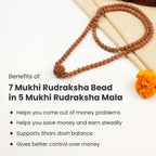 7 Mukhi Rudraksha Bead in 5 Mukhi Rudraksha Mala | VastuKosha by Acharya Anuj