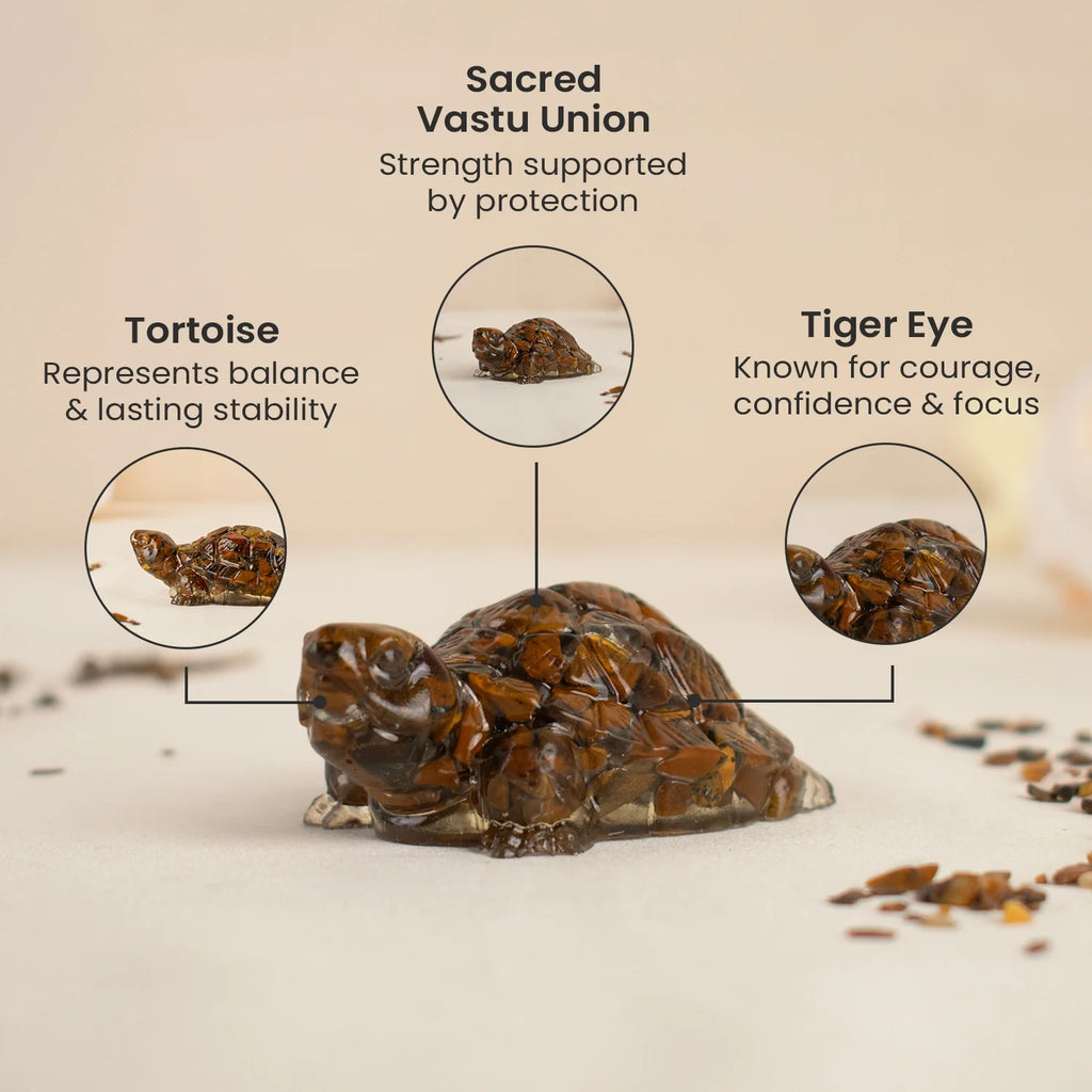 Vastu Tiger Eye Tortoise (Kachhua) | VastuKosha by Acharya Anuj