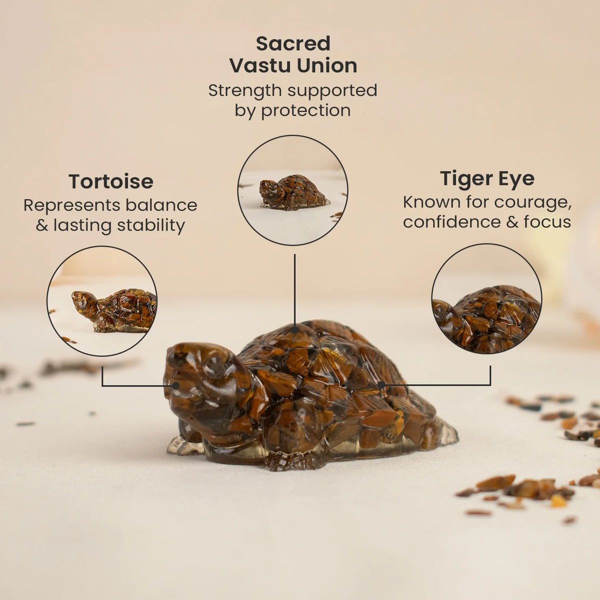 Vastu Tiger Eye Tortoise (Kachhua) | VastuKosha by Acharya Anuj