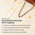 Divya Raksha Mahadev Combo | VastuKosha by Acharya Anuj