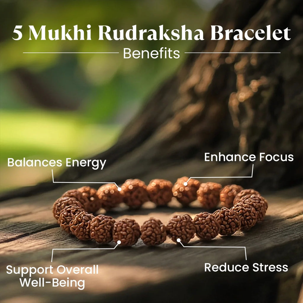 Maha Ashtlakshmi Kripa Combo with 7 Mukhi Rudraksha| Vastukosha by Acharya Anuj
